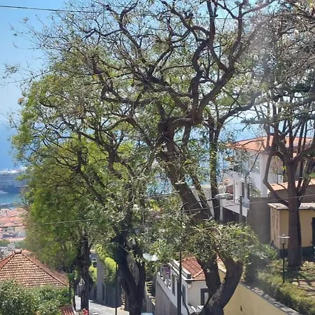 Villa City Funchal  Esterno foto